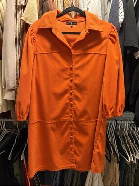Seven for all Mankind dress